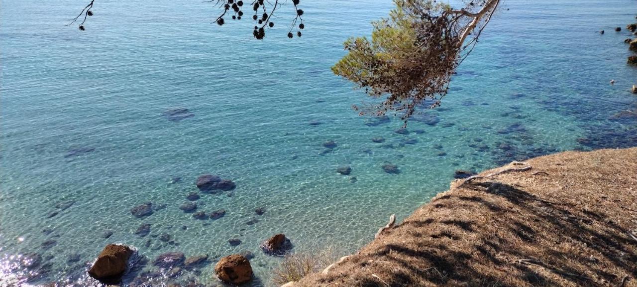 Sanary Cote Mer Bagian luar foto